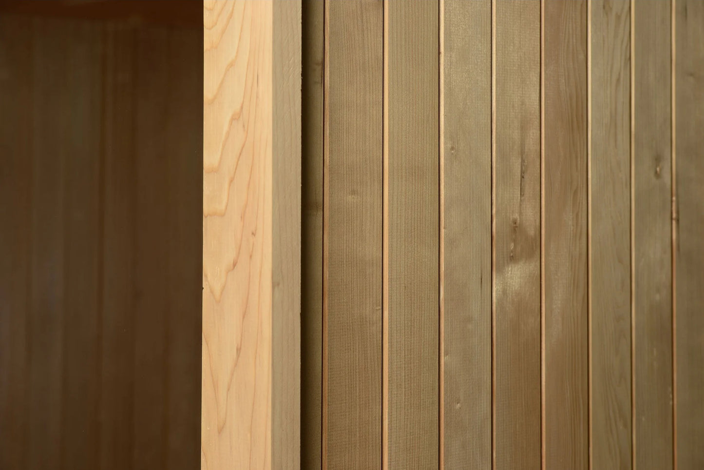 Spectacle 2 Person Indoor Sauna